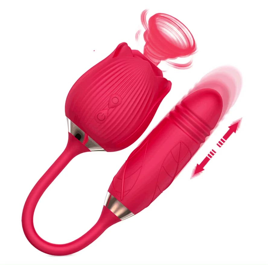 Up & Down DELUX Rose